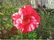 ��������� ������?