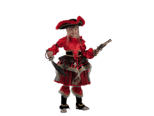 455 ������� �������