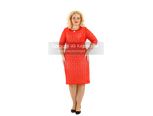 ������ �������  dnt-prestizh-01.jpg