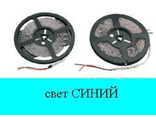 3646675.Lenta_2.JPG