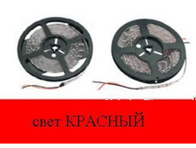 3646681.Lenta_4.JPG
