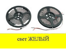 3646683.Lenta_5.JPG