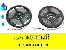 3646684.Lenta_5-2.JPG