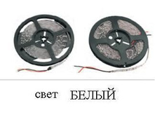 3646686.Lenta_1.JPG