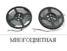 3665368.Lenta_6.JPG
