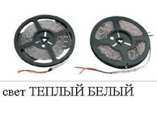 �����  EC*O-35*28/ 60-IP*20-12V-  WW -5m (������ �����)