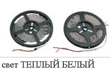 4253039.Lenta_7.JPG