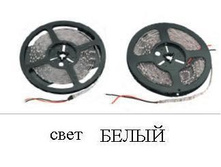 4253040.Lenta_1.JPG