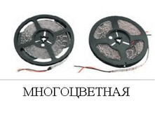4253045.Lenta_6.JPG
