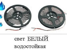 5542824.Lenta_1-2.JPG