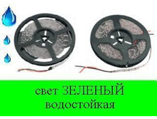 5542831.Lenta_3-2.JPG