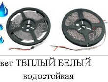 5542835.Lenta_7-2.JPG