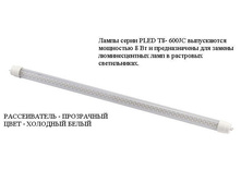 4923257.L-2.JPG