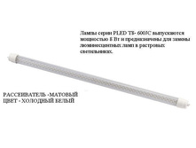 4923265.L-4.JPG