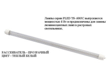 4923291.L-1.JPG