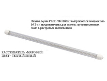 4923388.LL-3.JPG