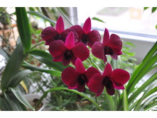 �������� �������� 02.10.14