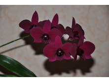 ����������, 02.10.14