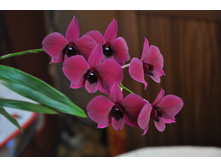 ���������� 02.10.14