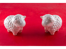 ������� ������ �����.jpg