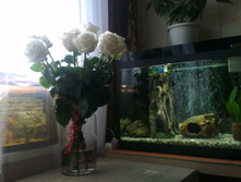 IMAG5898.jpg