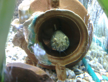 IMAG5891.jpg