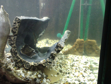 IMAG6054.jpg