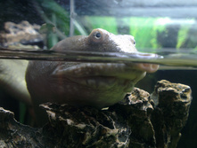 IMAG6174.jpg