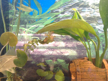 IMAG6379.jpg