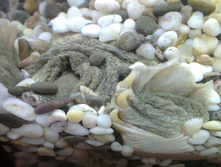 IMAG6392.jpg