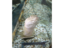 IMAG7002_1.jpg