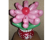 DSCF3979.JPG