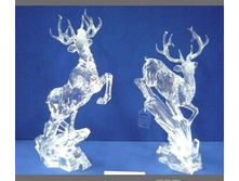 ����� 34.3�� - 1895���.jpg