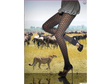 �12. �������� ������� JENIBRE.jpg