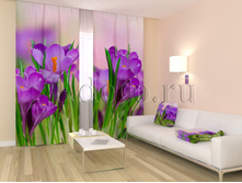 00271 �������.jpg