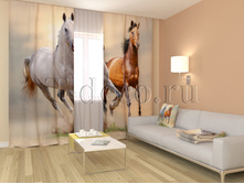 095 ������.jpg