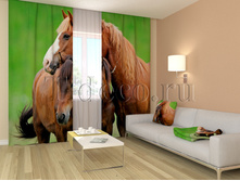 00339 ������.jpg