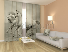 01106 ��������� ����.jpg