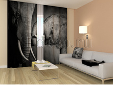 01107 ����.jpg