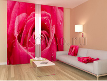 01125 �������� ����.jpg