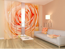 01130 ������ ���.jpg