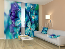 01136 ������� ������.jpg