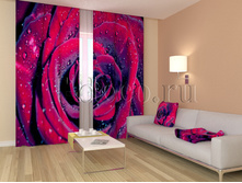 01146 ���� � ������� ����.jpg