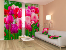 01148 ��������.jpg