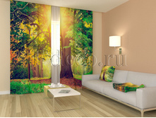 01162 ������ � �����.jpg