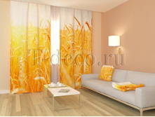 01193 �������.jpg