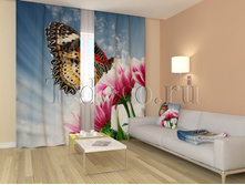 01226 �������.jpg