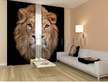 01238 ������ ���.jpg