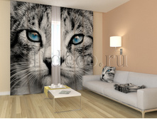 01336 �����.jpg