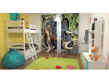 01299 �����������.jpg